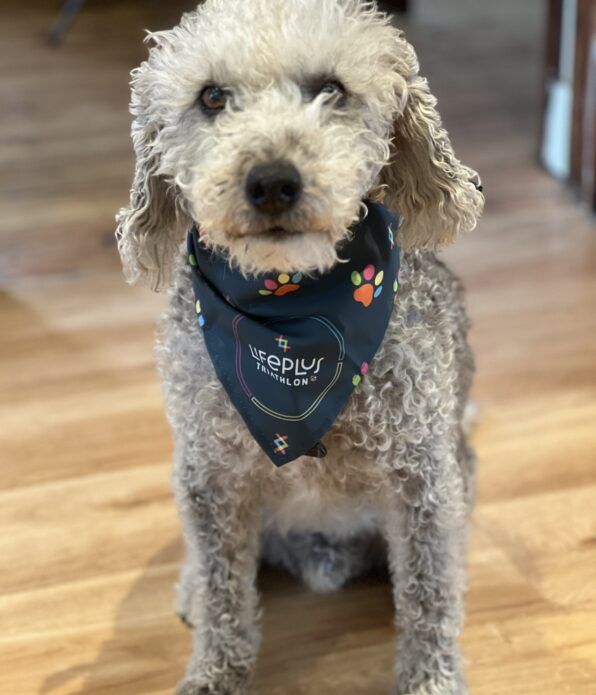 Bandana 3