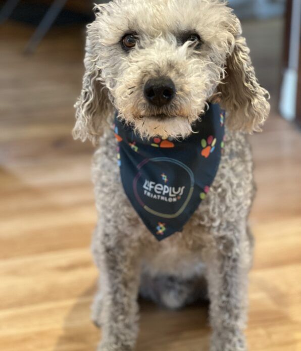 Bandana 4