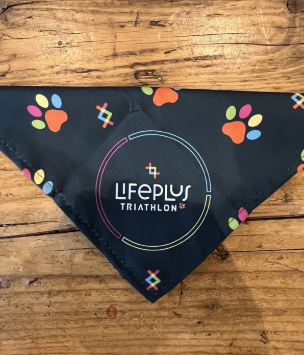 Bandana 2